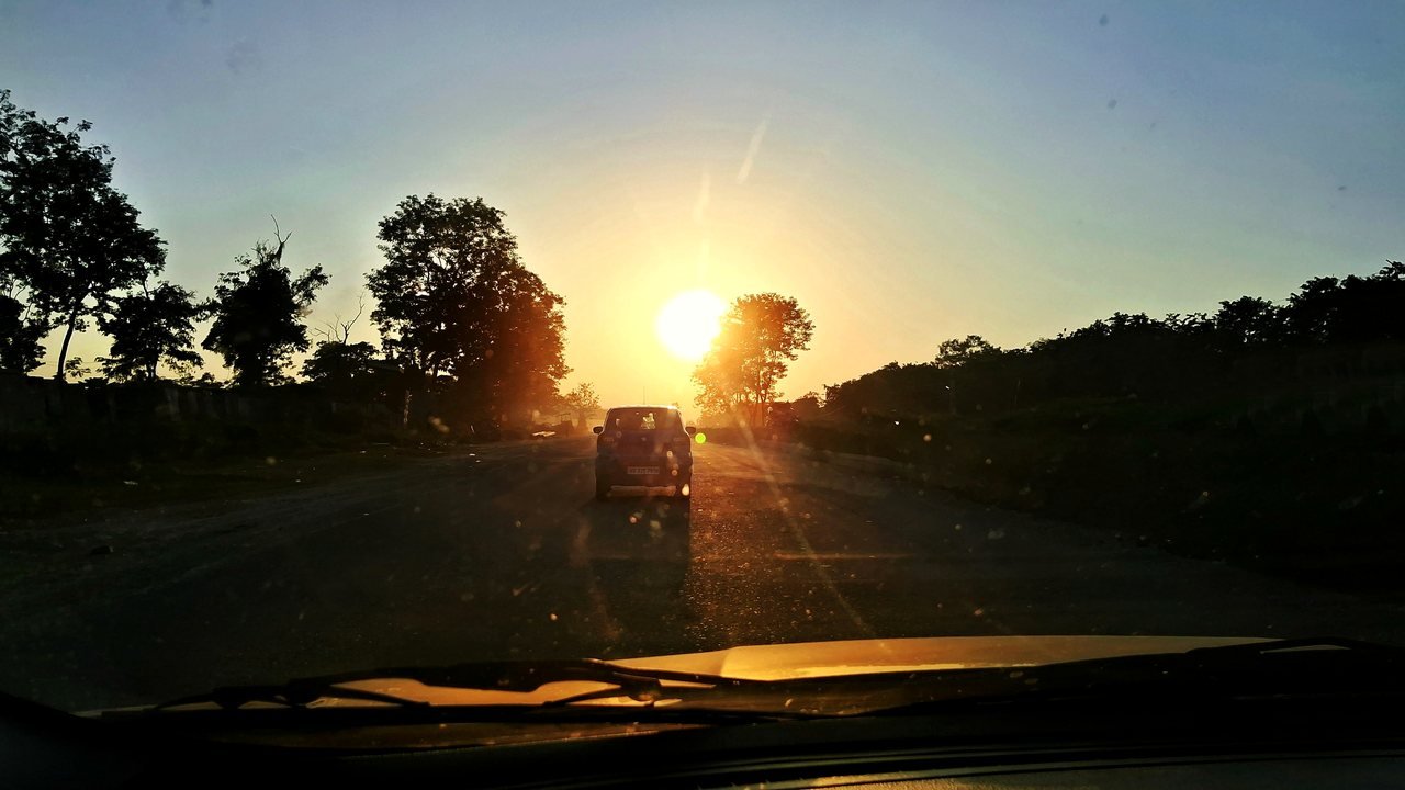 View through a car windscreen of a tree-lined road at sunset