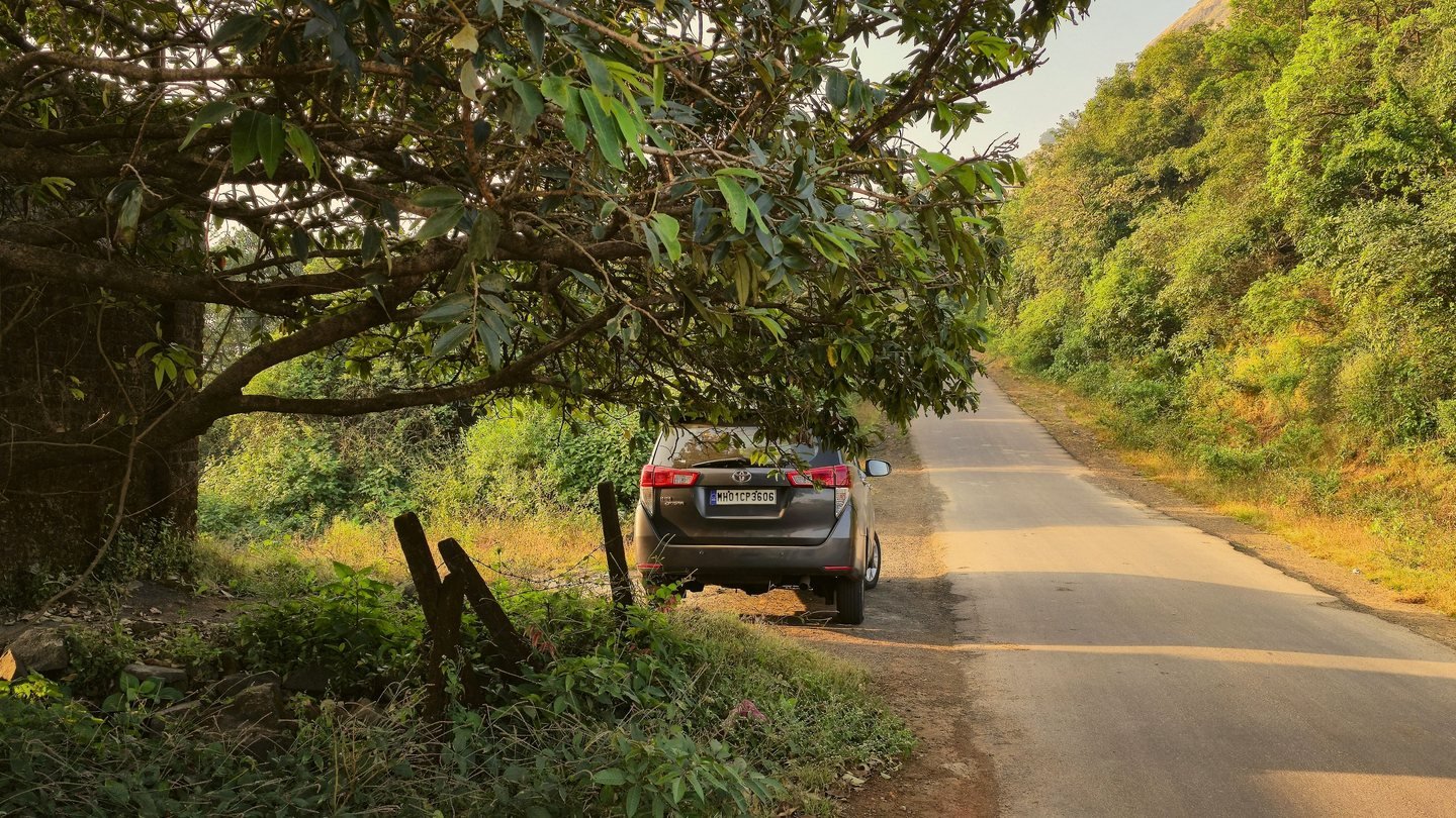 Dark SUV parked under a tree beside a quiet country road